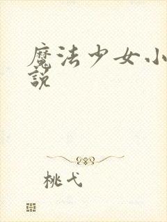 魔法少女小圆小说