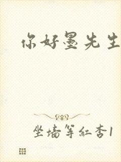 你好墨先生