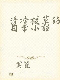 清冷校草的堕落日常小说