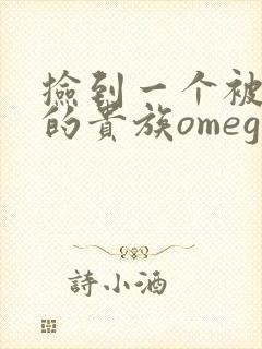 捡到一个被抹布的贵族omega