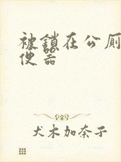 被锁在公厕当坐便器