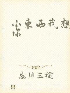 小东西我想弄坏你