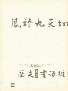 凤于九天txt