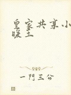 皇家共享小公主暖玉