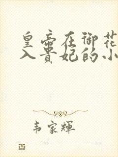 皇帝在御花园进入贵妃的小说