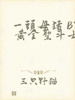 一头母猪 BY 黄金圣斗士