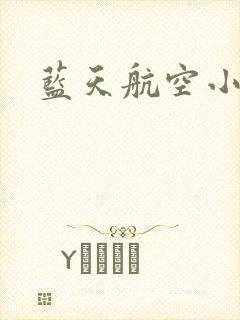 蓝天航空小说