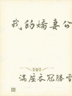 我的娇妻公务员