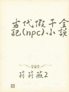 古代假千金挨日记(npc)小说