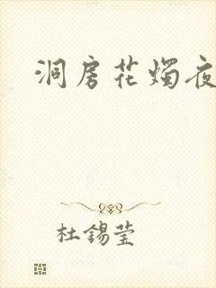 洞房花烛夜小说