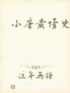 小唐黄倩史
