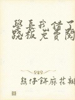 学长我错了 跷跷板免费阅读