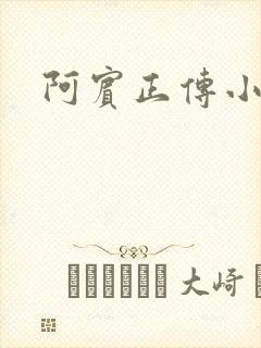 阿宾正传小说