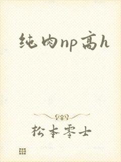 纯肉np高h