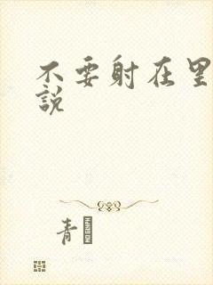 不要射在里面小说