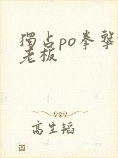 独占po拳击馆老板