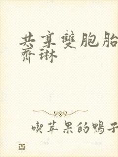 共享双胞胎齐娜齐琳