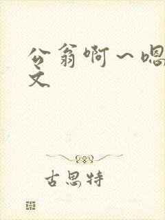 公翁啊～嗯啊h文