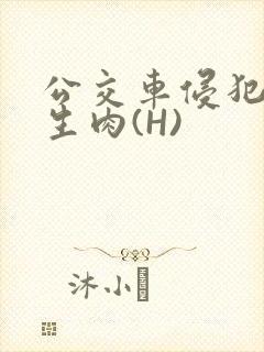 公交车侵犯小男生肉(H)