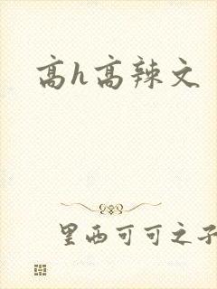 高h高辣文