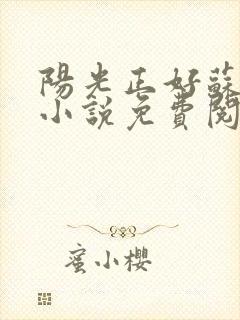 阳光正好苏玥玥小说免费阅读无弹窗