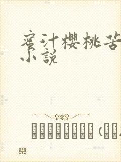 蜜汁樱桃苦咖啡小说