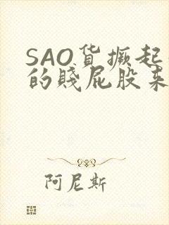 SAO货撅起你的贱屁股来