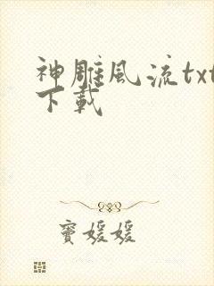 神雕风流txt下载