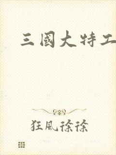 三国大特工