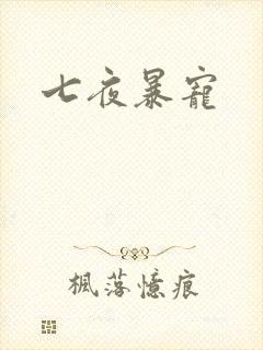 七夜暴宠封面