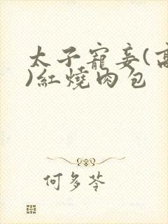 《太子宠妾(高肉)红烧肉包》小说封面