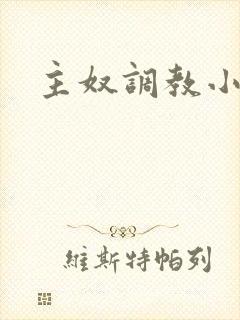 主奴调教小说