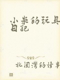 小米的玩具羞辱日记