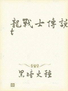 龙战士传说txt