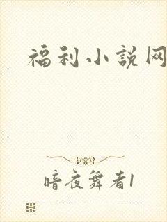 福利小说网