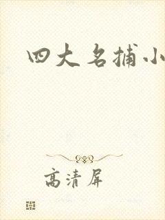 四大名捕小说