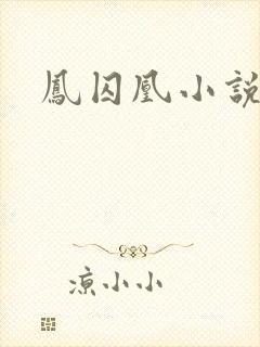 凤囚凰小说