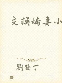 交换娇妻小说