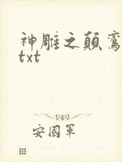 神雕之颠鸾倒凤txt封面