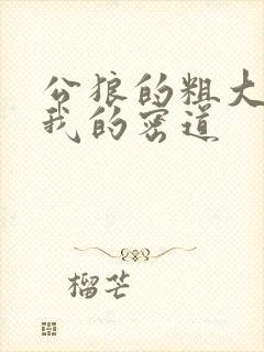 公狼的粗大挺进我的密道