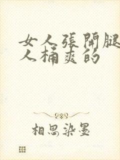 女人张开腿让男人桶爽的