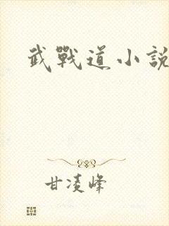 武战道小说