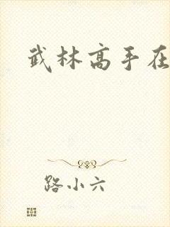 武林高手在异界