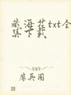 藏海花txt全集下载