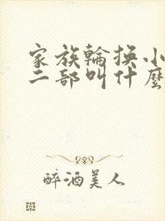 家族轮换小说第二部叫什么名字