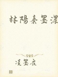 林阳秦墨浓度封面