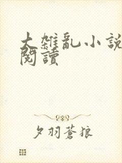 大杂乱小说目录阅读