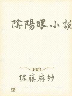 阴阳眼小说
