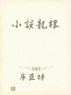 小说龙根