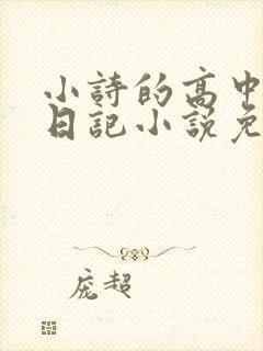 小诗的高中成长日记小说免费阅读